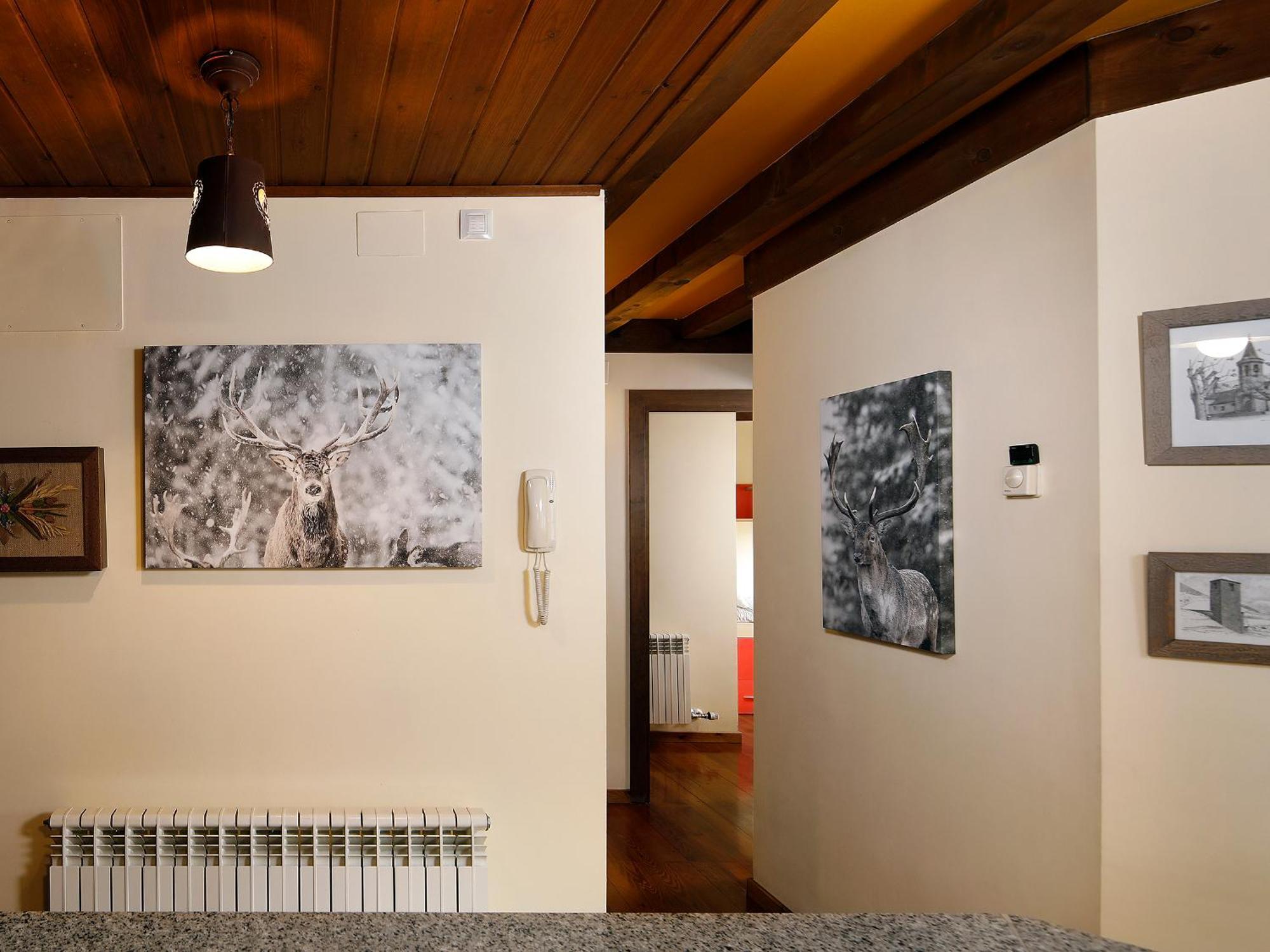 Apartamento La Santeta De Aran Vielha e Mijaran Buitenkant foto