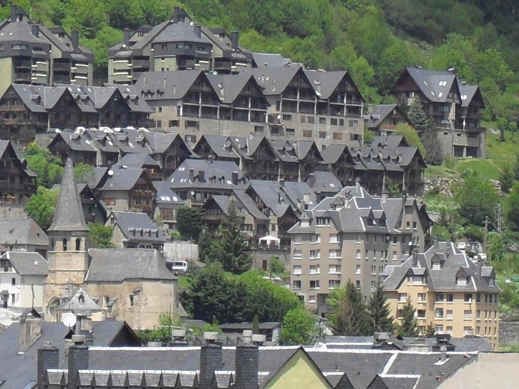Apartamento La Santeta De Aran Vielha e Mijaran Buitenkant foto